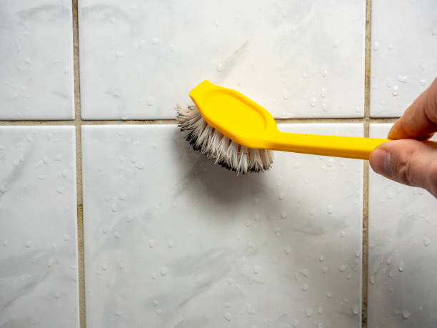 Best Home Mold Removal  in Rome, GA