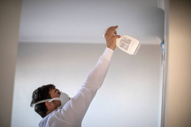 Best Fast Mold Removal  in Rome, GA
