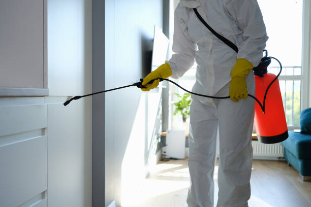 Best Mold Testing  in Rome, GA