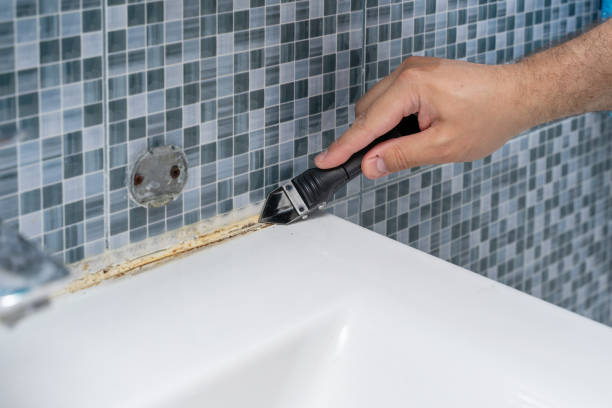 Best Local Mold Removal Service  in Rome, GA